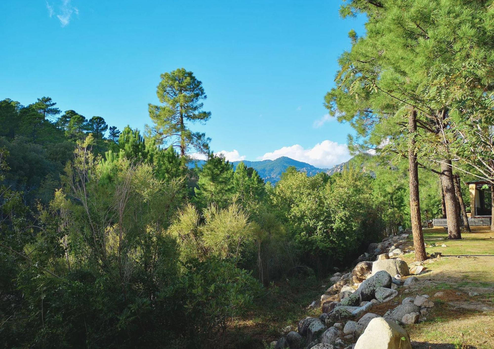 Camping Mulinacciu Lecci Buitenkant foto