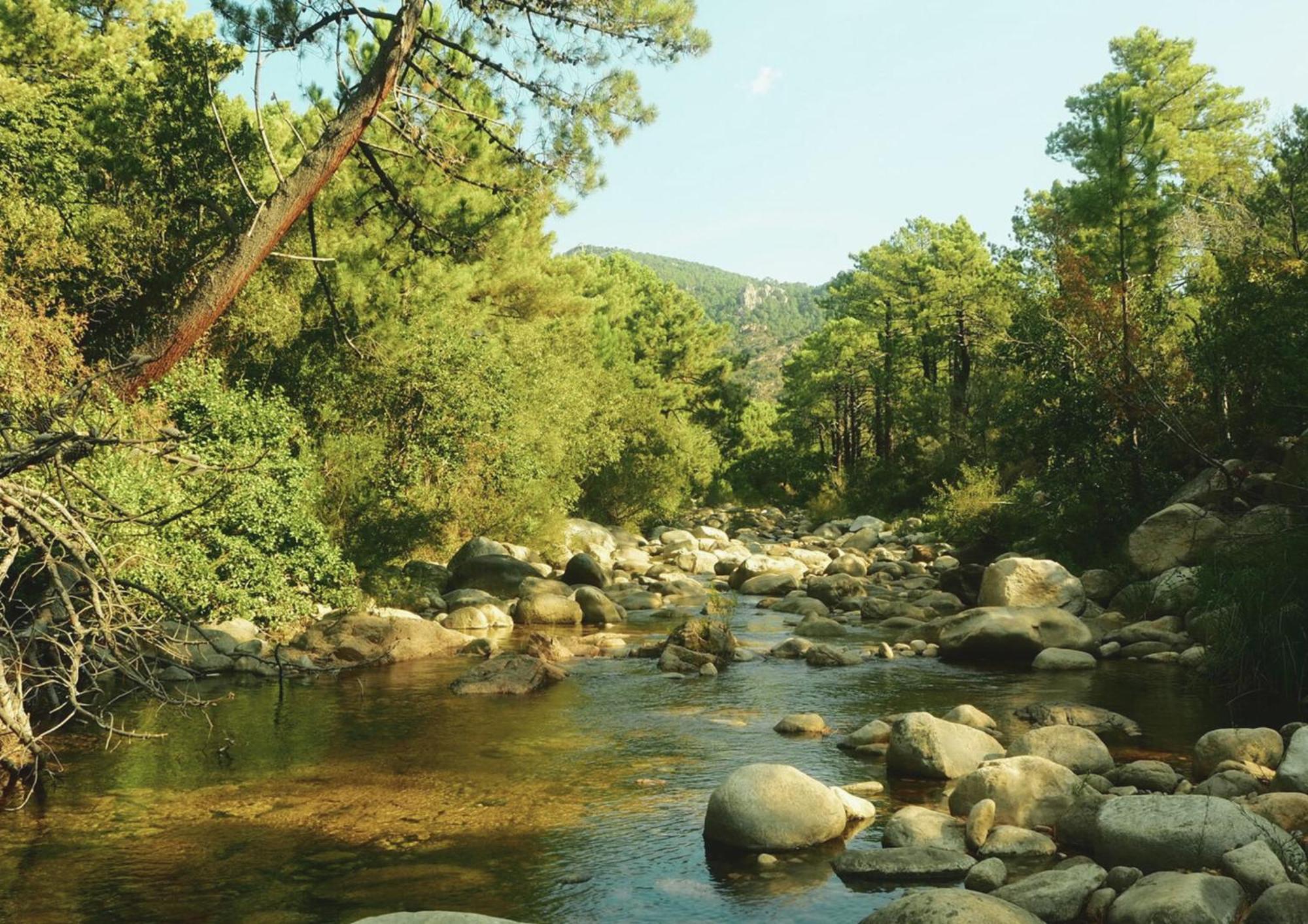 Camping Mulinacciu Lecci Buitenkant foto